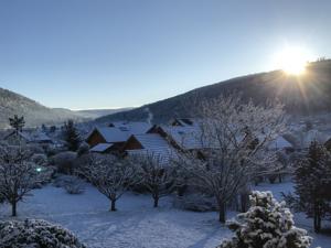 Hebergement Chalet des Musiciens : photos des chambres