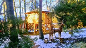 Hebergement Les Cabanes Du Saleve : photos des chambres