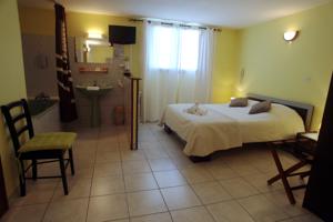 Hotel Le Pressoir : Chambre Double Standard
