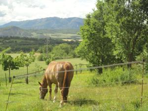 Hebergement Un Gite de Charme en Haute Provence : photos des chambres