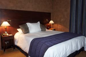 Hotel Michel Chabran : Chambre Double Standard