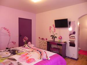 Chambres d'hotes/B&B Mas des Genets d'Or - Les Chambres d'Hotes : Chambre Double 