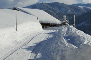 Hebergement Le Chalet d'Eugenie : photos des chambres