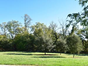 Hebergement Maison De Vacances - Florimont-Gaumier 2 : photos des chambres