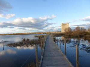 Hebergement Villa lou simbeu : photos des chambres
