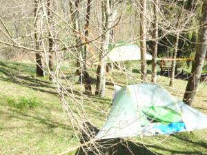 Hebergement dtente sky lodge : photos des chambres