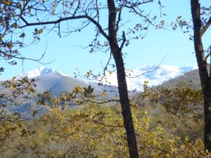 Hebergement dtente sky lodge : photos des chambres