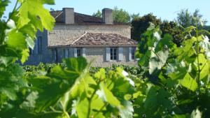 Chambres d'hotes/B&B Maison Le Sepe : photos des chambres