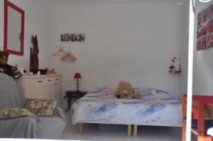 Hebergement oiseaux : photos des chambres