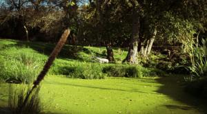 Hebergement domaine lauthier le haut : photos des chambres