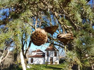 Chambres d'hotes/B&B Le Marchon : photos des chambres