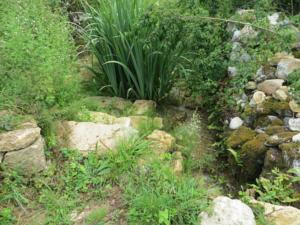 Hebergement Les jardins de Peychenval : photos des chambres