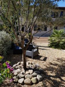 Hebergement Rue des Mimosas : photos des chambres