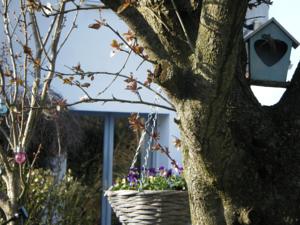 Hebergement La Maisonnette : photos des chambres
