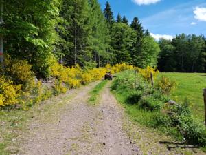 Appartement Heartland Ranch : photos des chambres