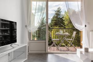 Appartement La Perle des Alpes : Appartement avec Balcon