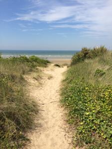 Chambres d'hotes/B&B LES PIEDS DANS L'EAU : photos des chambres