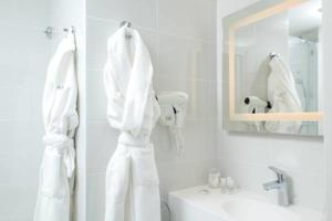Hotel 66 Nice : photos des chambres