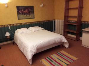 Chambres d'hotes/B&B 27 rue Maupertuis le Mans : Chambre Double 