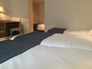Nouvel Hotel du Commerce : photos des chambres