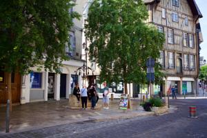 Appartement Sejour Parfait a Troyes : photos des chambres