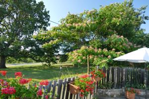 Hebergement Un Gite de Charme en Haute Provence : photos des chambres