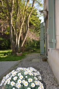 Hebergement Le Mas de Panier : photos des chambres