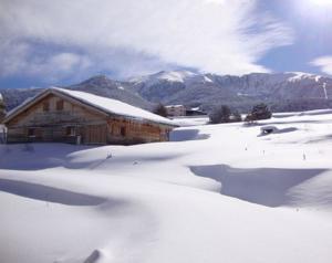 Hebergement Ker Puigmal : Chalet Supérieur