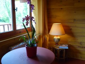 Chambres d'hotes/B&B Chalet aux pied des vignes : photos des chambres