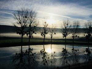 Hebergement Les Lodges du Canal de Bourgogne : photos des chambres