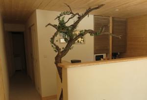 Hebergement Le gite du grand cedre : photos des chambres