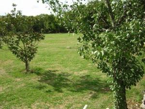 Hebergement House Gramat - 6 pers, 73 m2, 4/3 : photos des chambres