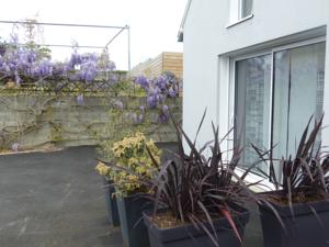 Hebergement Mel'Anne Cottage : photos des chambres