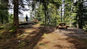 Appartement les dryades : photos des chambres