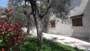 Chambres d'hotes/B&B Appartement avec grand jardin : Appartement 1 Chambre avec Accès Piscine – Rez-de-Chaussée