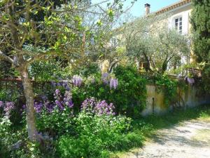 Chambres d'hotes/B&B Le Fer en Ceze : photos des chambres