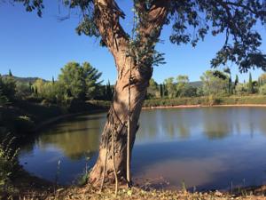 Hebergement Domaine de Mont Redon : photos des chambres