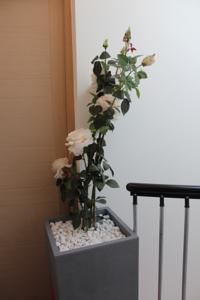 Appartement Etablissements Coulon - Talence (Chemin d'Ars) : photos des chambres