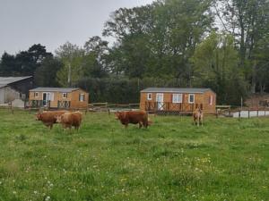 Hebergement Les chalets de Bes Le Montagnol : photos des chambres
