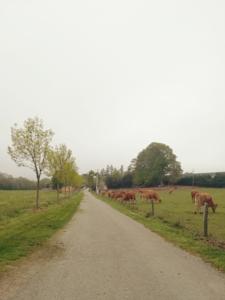 Hebergement Les chalets de Bes Le Montagnol : photos des chambres