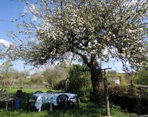 Hebergement Maison Lavande : photos des chambres