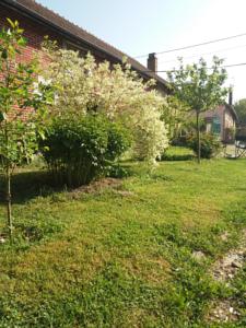 Hebergement Campagn'Arts : photos des chambres