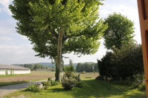 Hebergement ancienne ferme renovee : photos des chambres