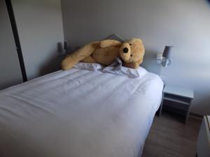 NESTOR HOTEL (Le pre Vert) : photos des chambres