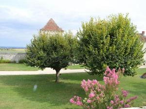 Hebergement House Le colombier 4 : photos des chambres