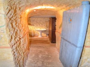 Hebergement House Le troglo bleu 2 : photos des chambres