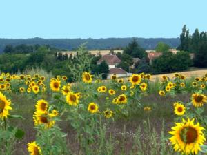 Hebergement House La vallee 3 : photos des chambres