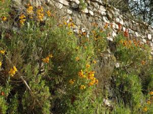 Hebergement House La vallee 3 : photos des chambres