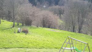 Hebergement nature cottage vosges : Chalet 1 Chambre