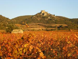 Hebergement Yourte Nature / Gite Saint Roch : photos des chambres